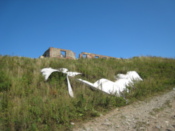 Remains of an aircraft