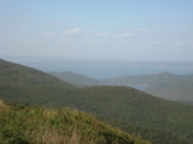 View from the peak
