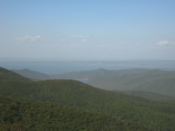 View from the peak