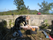 Shashlik