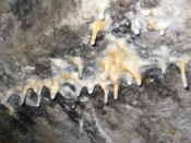 Stalactites