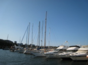 The harbor