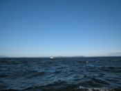 The sea