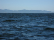 The sea