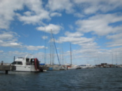 In the harbor