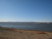 The Amur river