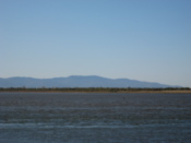 The Amur river