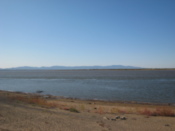 The Amur river