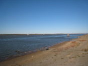 The Amur river