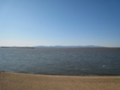 The beach