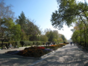 Dinamo Park