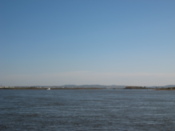 The city from the river