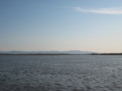 The Amur