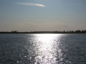 The Amur