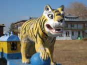 Tiger by the temple