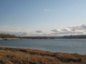 The Angara river