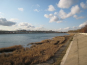 The Angara river