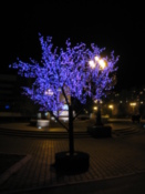 One of the many decorated trees