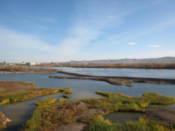 View from bridge to Tatishev Island