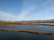 View from bridge to Tatishev Island