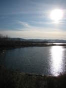 Tatishev Island