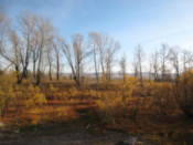 Tatishev Island