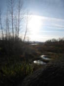 Tatishev Island