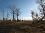 Tatishev Island