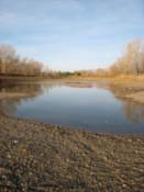 Tatishev Island