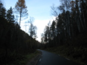 The road we didn't follow for long