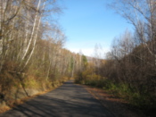 Road leading to the reserve