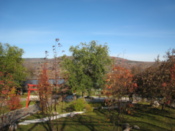 Park in the zoo