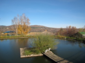 Zoo lake