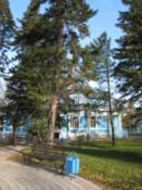 Russian-German House