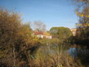 A pond in a park