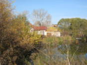 A pond in a park