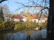 A pond in a park