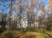 Approaching the main university building
