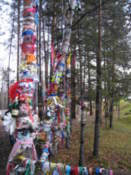 Bands tied by newlywed couples