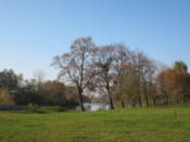 By the Mukhavets River