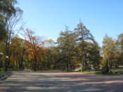 In the Park of Culture and Leisure