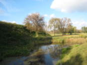 The moat
