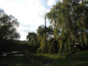 The beautiful gardens in the grounds