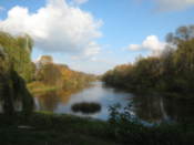 The moat