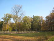 National park grounds