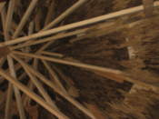 The roof