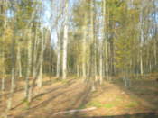 National park grounds