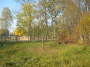 Belarus-Poland border