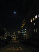 A street beneath the moon