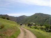 The track I was wandering along